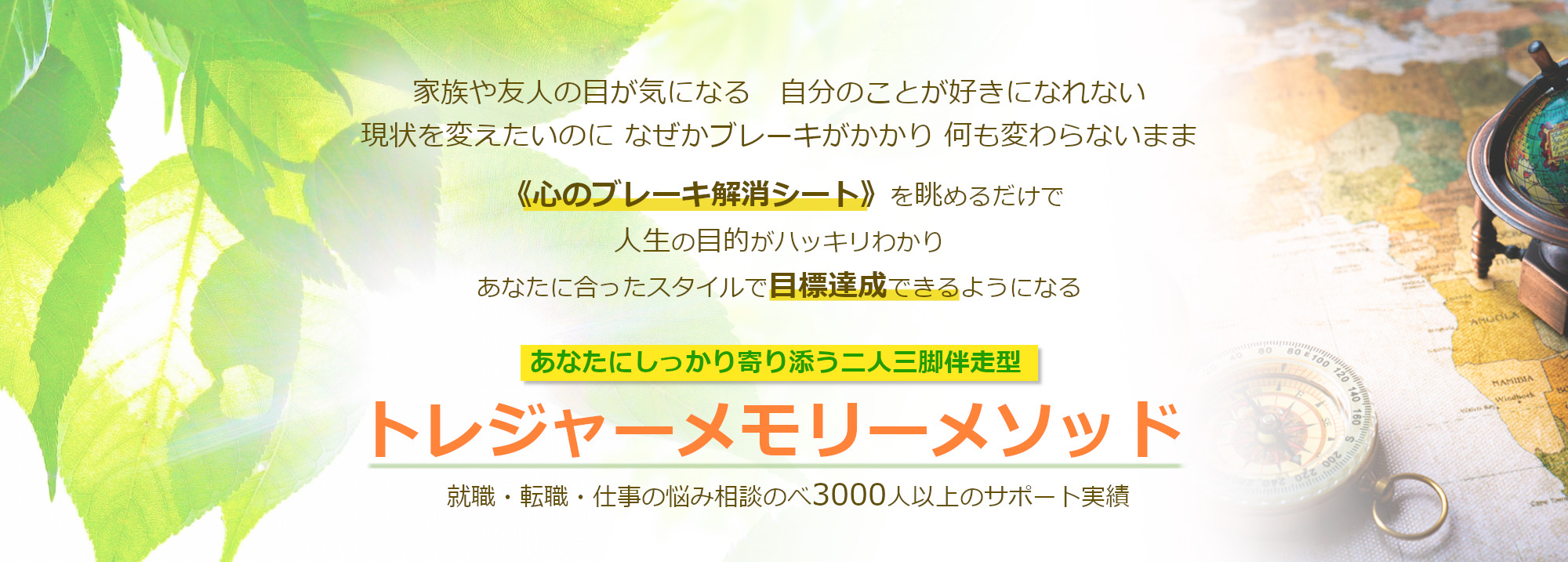 癒しと進化のカウンセリング トレジャーメモリーメソッド